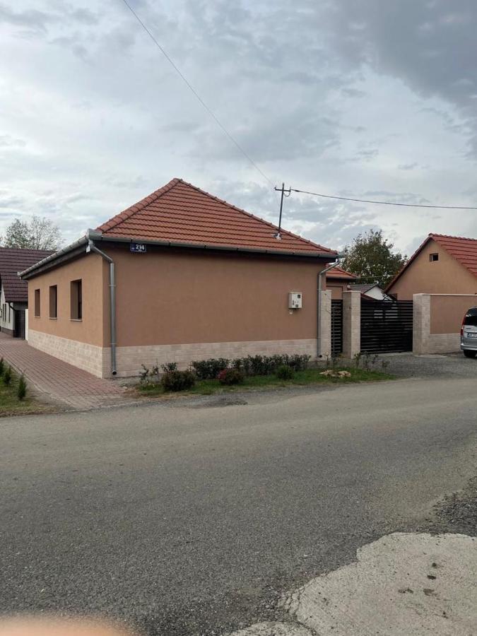 Emanuela Apartments Pecica Buitenkant foto
